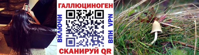 Галлюциногенные грибы Magic Shrooms  Тбилисская 